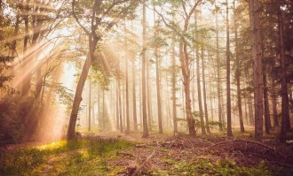 朱婷在意甲联赛单场斩获三十八分