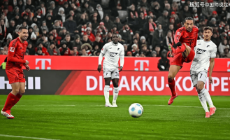 拜仁VS霍芬海姆 赛事分析