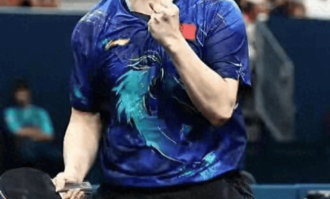 孤勇出征，技术扶贫，樊振东亮相德甲6个月，央视锐评句句说到心坎里