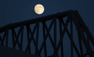 泰勒·莫顿：从红军小将到法甲新星的心路历程，英超冠军的光辉与沮丧交织