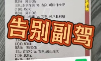 德甲：云达不来梅VS霍芬海姆，专家最新推荐比分预测