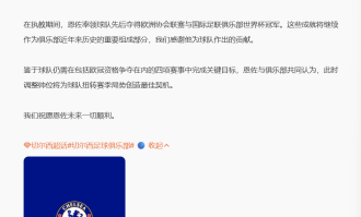 切尔西与主教练马雷斯卡分道扬镳